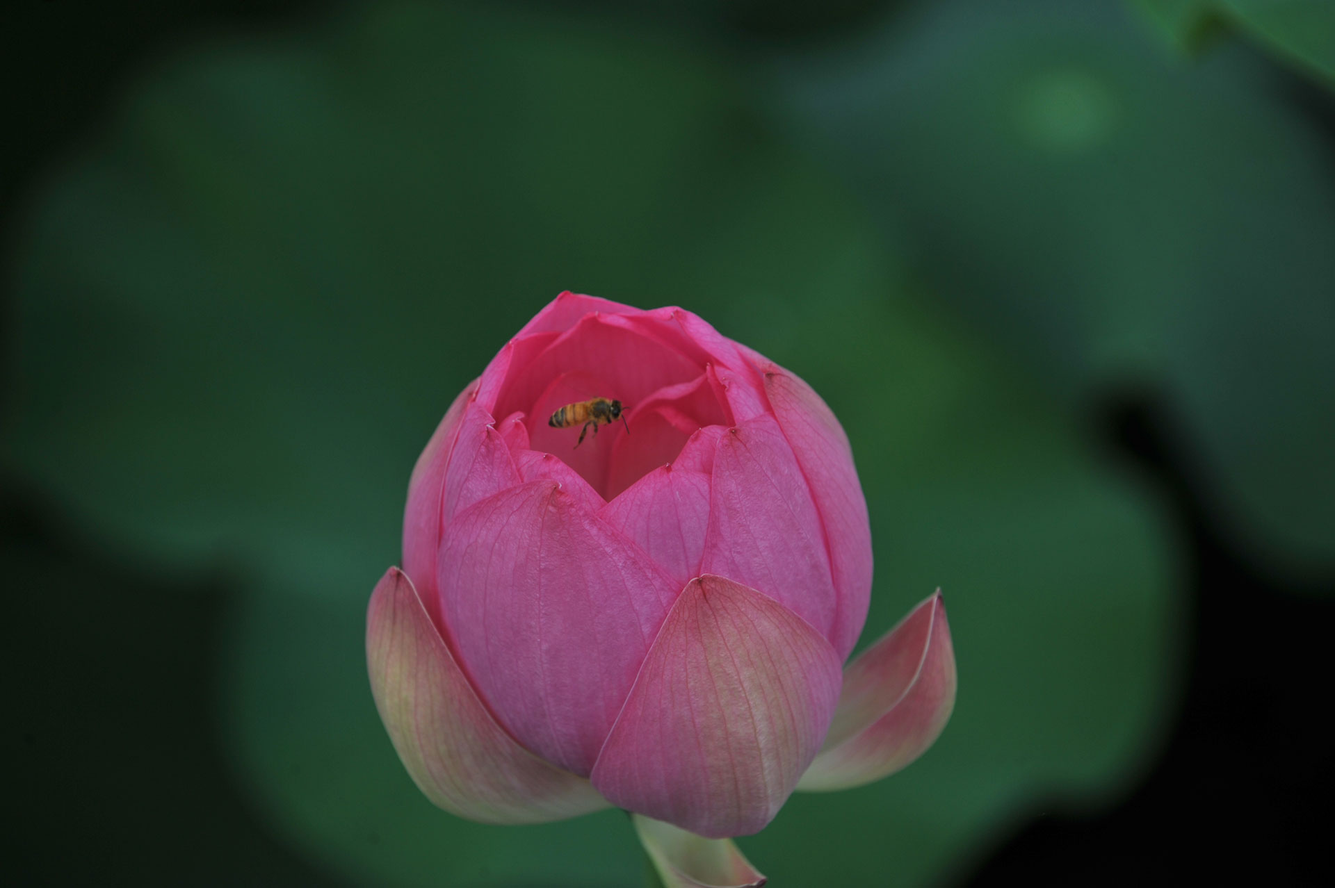 parkjg_20110702.jpg