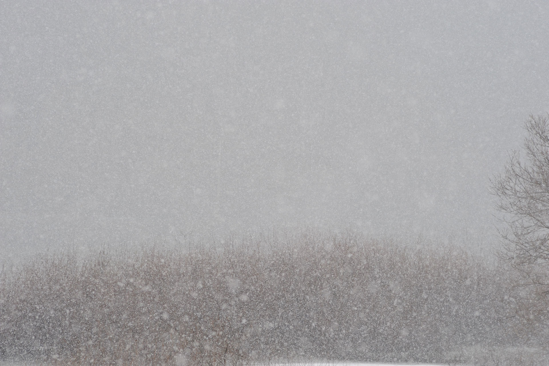 parkjg_20131214.jpg