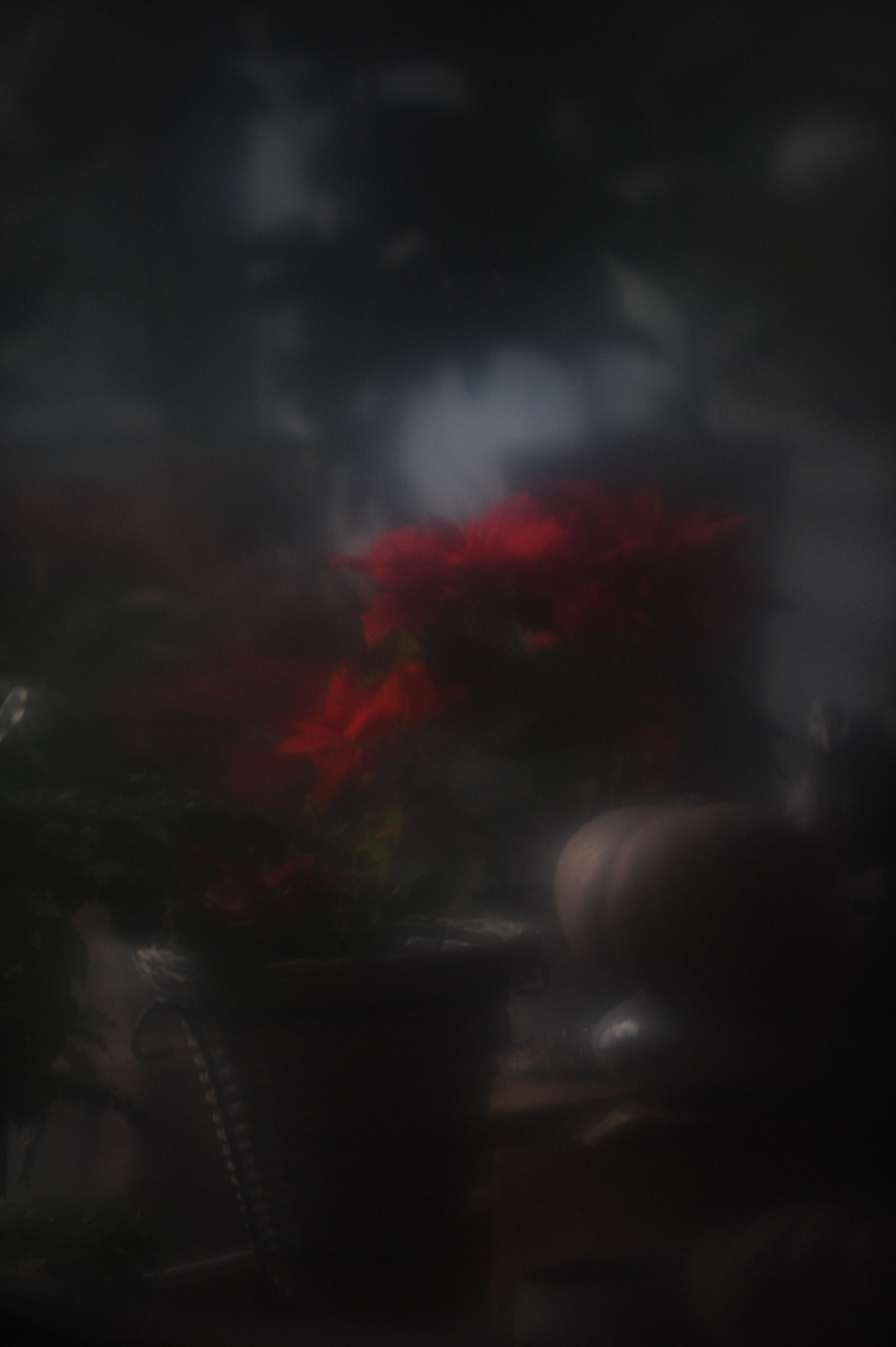 parkjg_20140111.jpg
