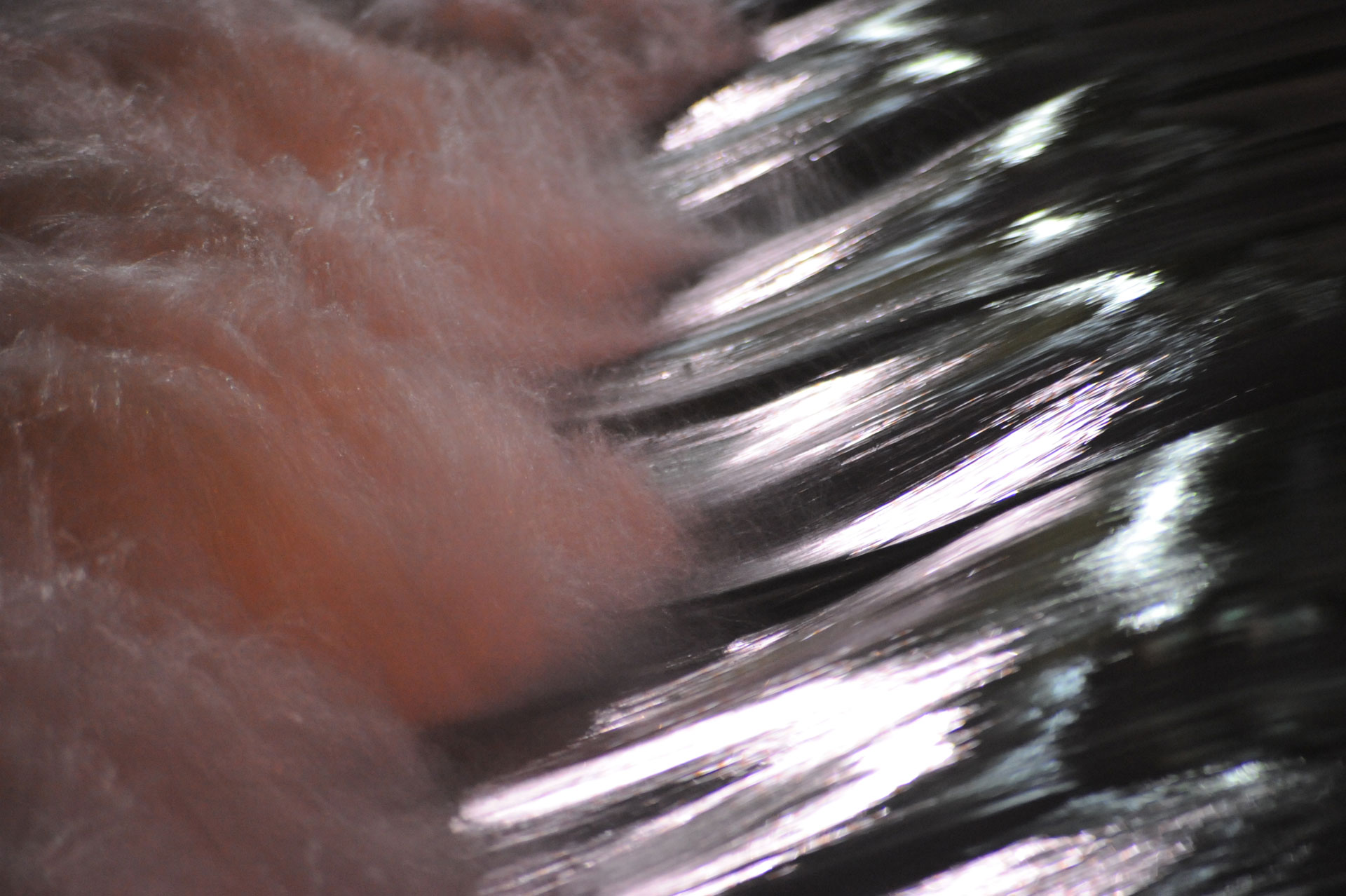 parkjg_20140818.jpg