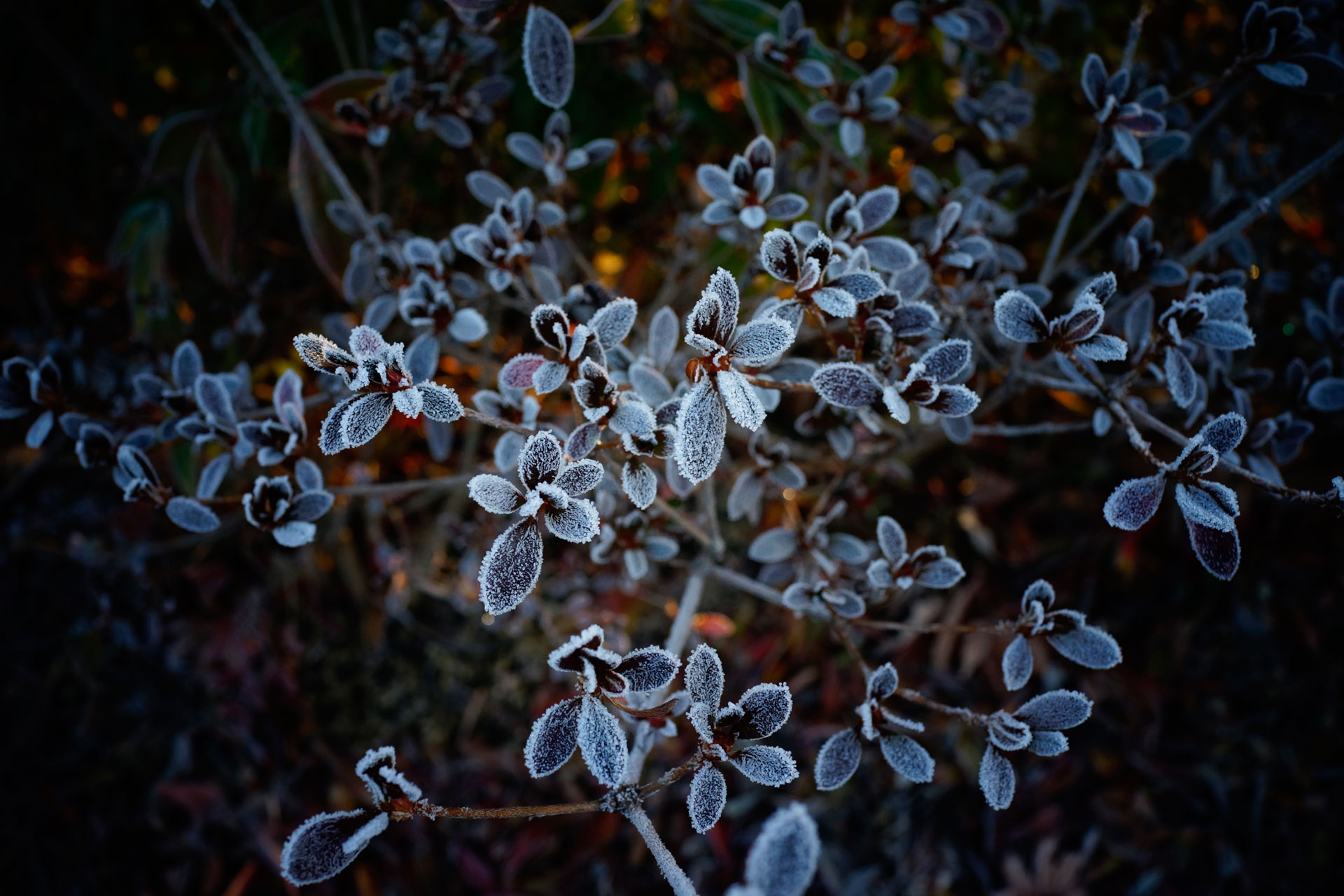 parkjg_20141209.jpg